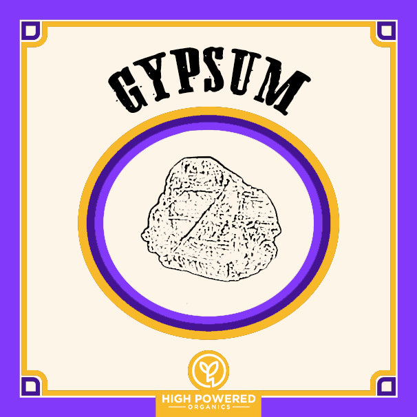 Gypsum