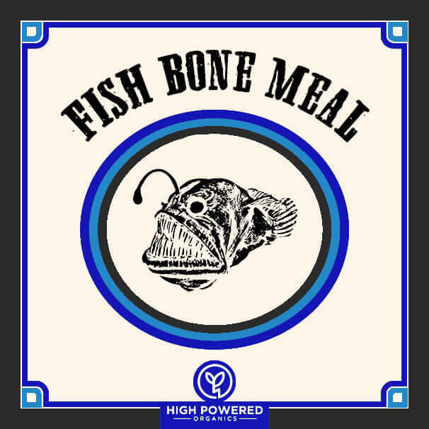 Fish Bone Meal