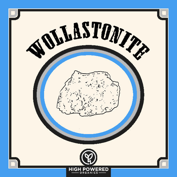 Wollastonite