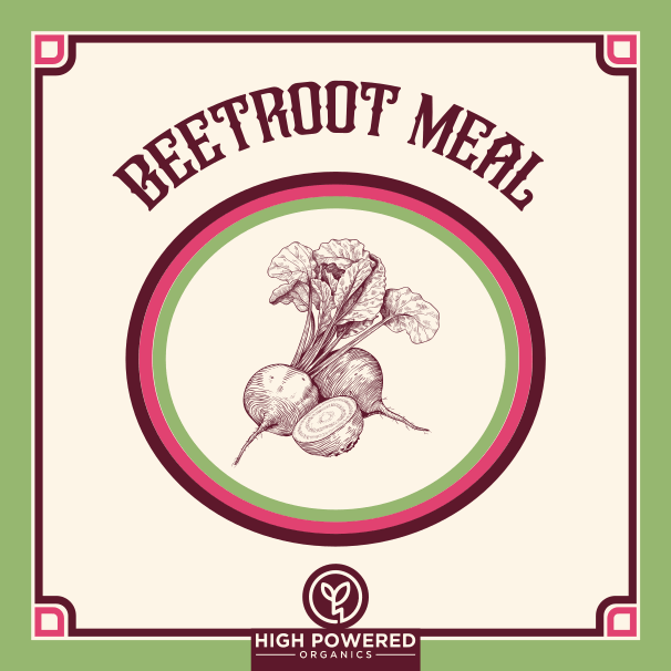 Beetroot Meal - High Powered Organics