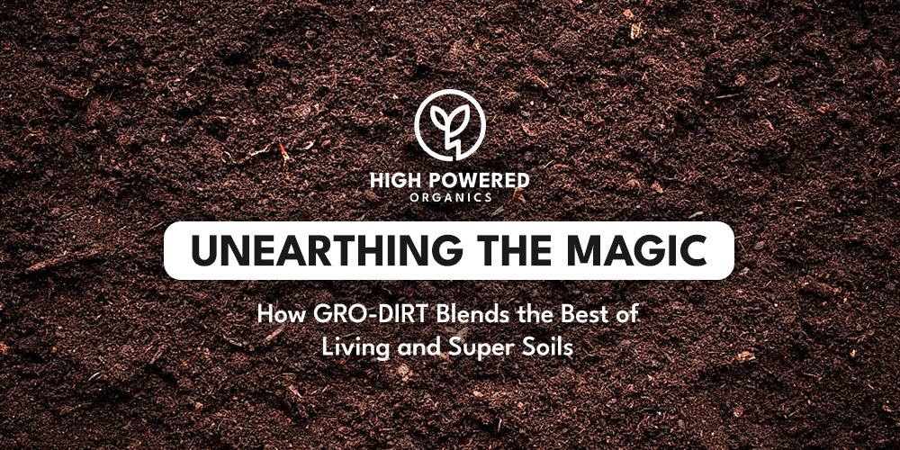 Unearthing the Magic: How GRO-DIRT Blends the Best of Living and Super Soils