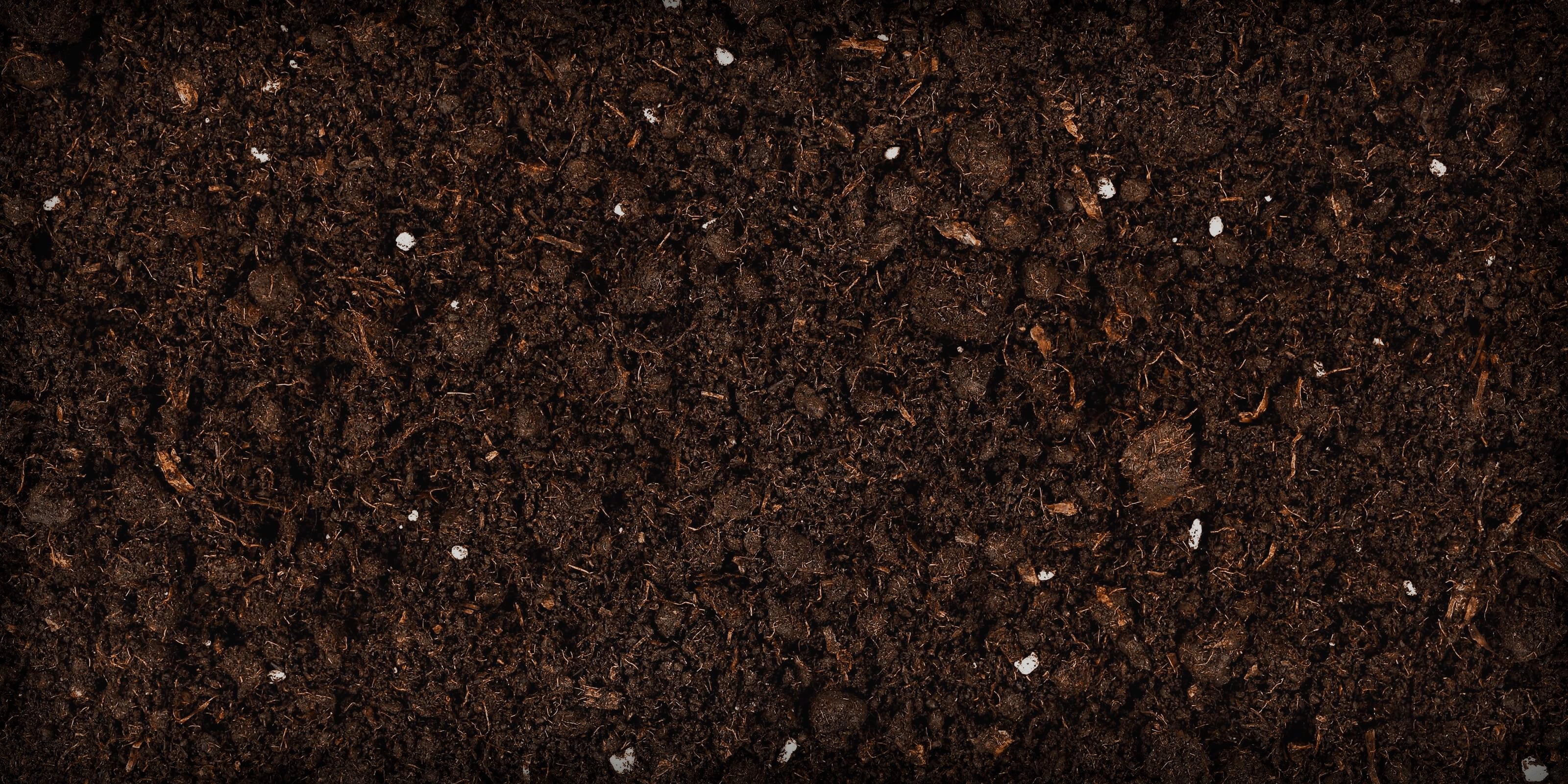 Close-up of dark brown living soil with small particles
